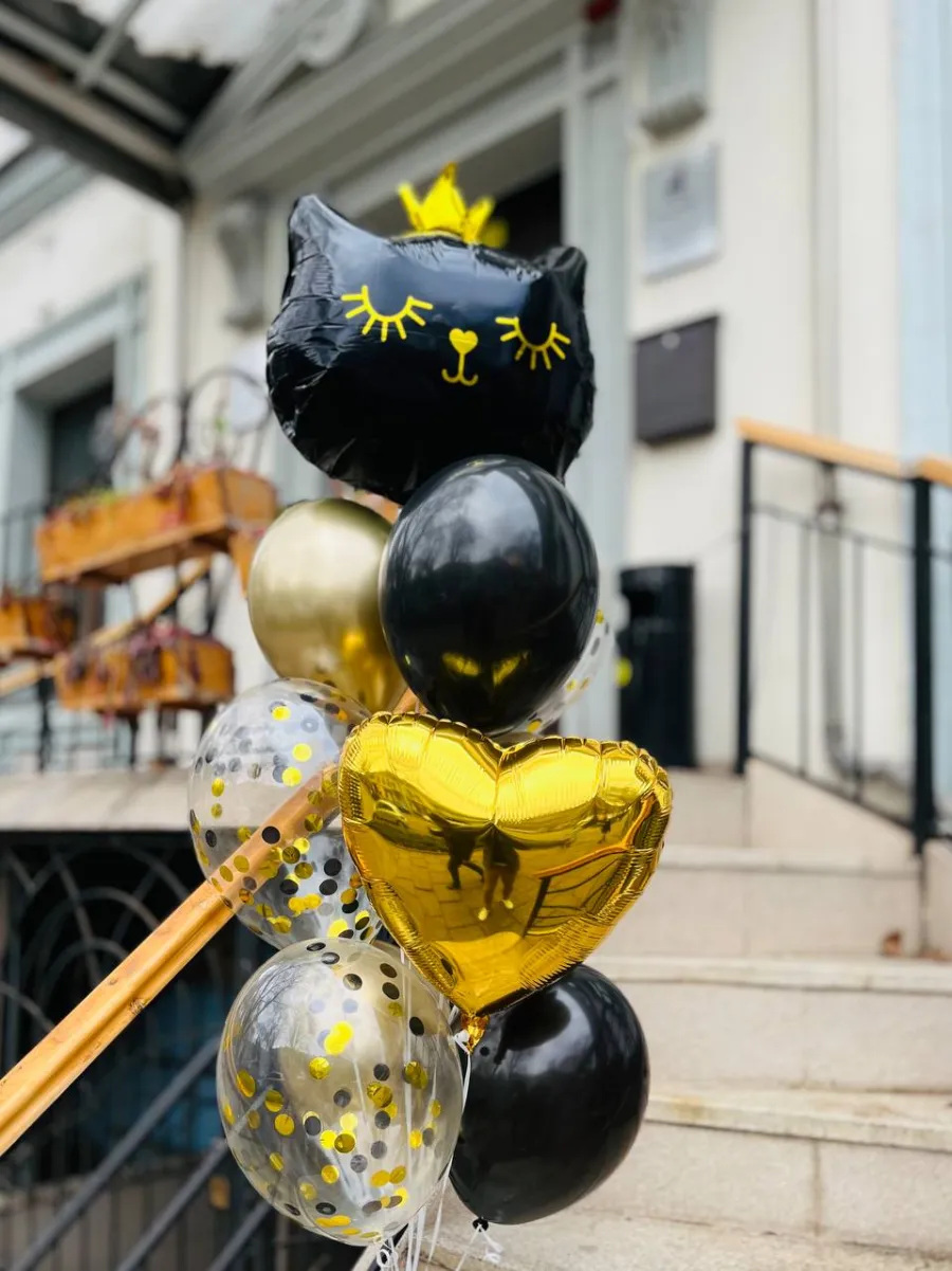 Кошечка в чёрно-золотом